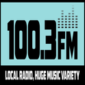 100.3 FM South Canterbury-Logo