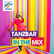 Radio Regenbogen Tanzbar in the Mix 