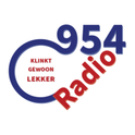 Radio 954-Logo