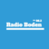 Radio Boden 