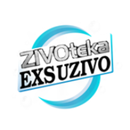 Radio EXS-Logo