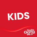 Radio Gong 96.3-Logo