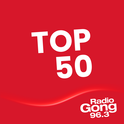 Radio Gong 96.3-Logo
