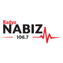Radyo Nabiz-Logo