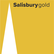 Salisbury Radio Gold 