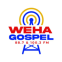 WEHA-Logo