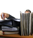 Die Auskunftspflicht der deutschen Bundesbehörden