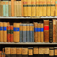 Die Entwicklung der Bibliothek José Pacheco Pereira in Lissabon