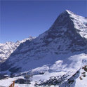 Am Fuß der Dolomiten wird eine verweste Leiche gefunden und Brunetti gräbt tiefer als ihm lieb ist ...