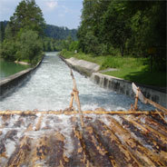 Europas Wildwasserflüsse werden immer weniger
