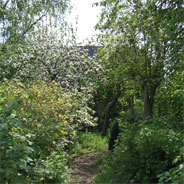 In einer Gartenlaube findet ein Junge ein bodenloses, schwarzes Loch und wird neugierig