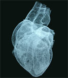 Mit einem Herzfehler leben