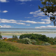 Die Ostseeinsel Hiddensee genoss ab Anfang des 20. Jahrhunderts den Ruf einer Künstlerkolonie