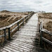 Die Nordsee von Heinrich Heine
