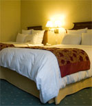 Bettwanzen und andere Schädlinge im Haushalt