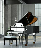 Pianist Lang Lang ist Solist des Abends