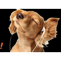 laut.fm-Logo