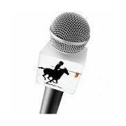 laut.fm-Logo