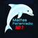 laut.fm delfin 