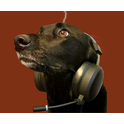 laut.fm-Logo