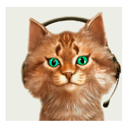 laut.fm-Logo