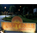 laut.fm radiosunnydale 