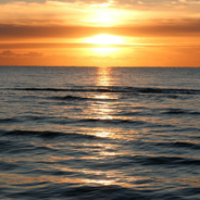 laut.fm-Logo