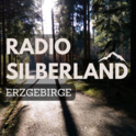 laut.fm-Logo