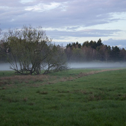 Geschichten aus dem Moor