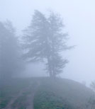Auf einer Gefängnisinsel zieht ein ewiger Nebel auf und eine unbekannte Leiche wird angeschwemmt