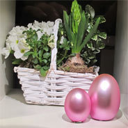 Die nachhaltige Produktion von Lebensmitteln