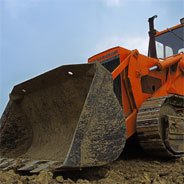 Auf der Baustelle von Schloss Sanssouci wird ein Toter aufgefunden