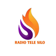 Radio Tele Silo-Logo