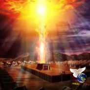 ALAS DE LIBERTAD-Logo