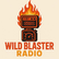 Wild Blaster "The sound of Rock" 