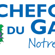 RMS ROCHEFORT DU GARD-Logo