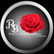 LA ROSE DU BONHEUR 