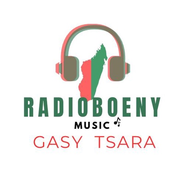 RADIO BOENY-Logo