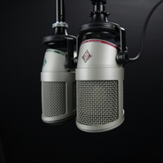 Radio Nesemnate-Logo