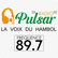 Radio Pulsar CI 
