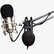 Radio stopy 