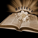 The Great Commission Broadcast 