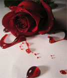 Wer ist dieser Rosenkranzkiller?