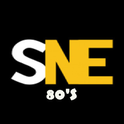 Storm North East-Logo