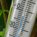 Macht die zunehmende Hitze durch den Klimawandel krank?