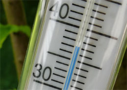 Macht die zunehmende Hitze durch den Klimawandel krank?
